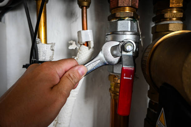 Best Plumbing Inspection Services  in Lake Carmel, NY